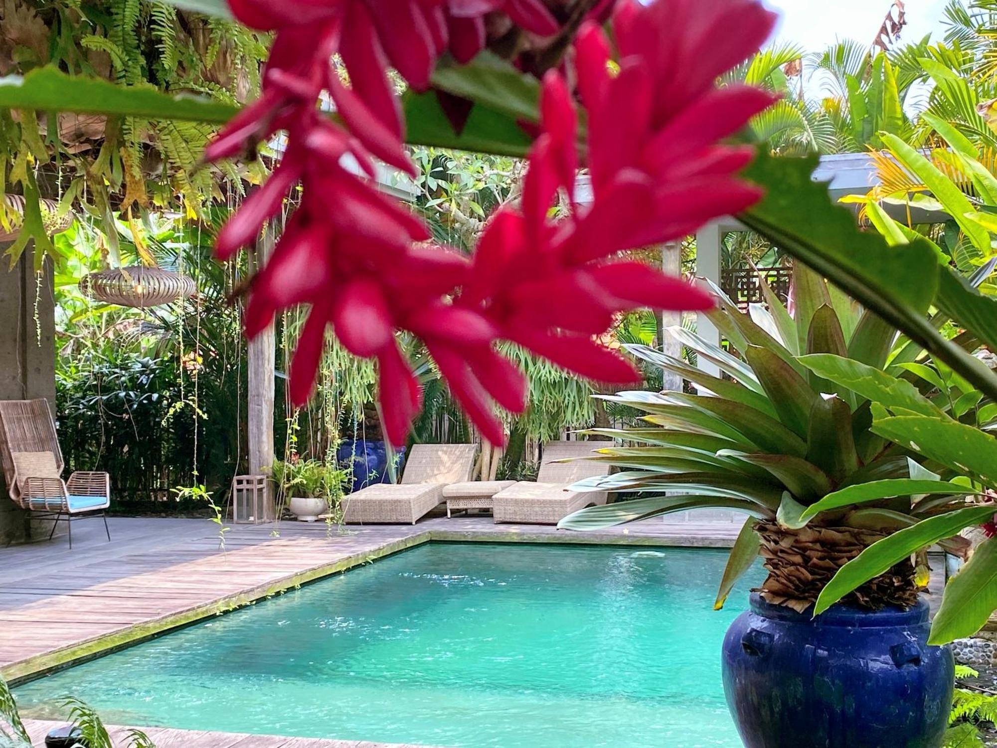 Alchemist House 烏布煉金師之屋 Ubud