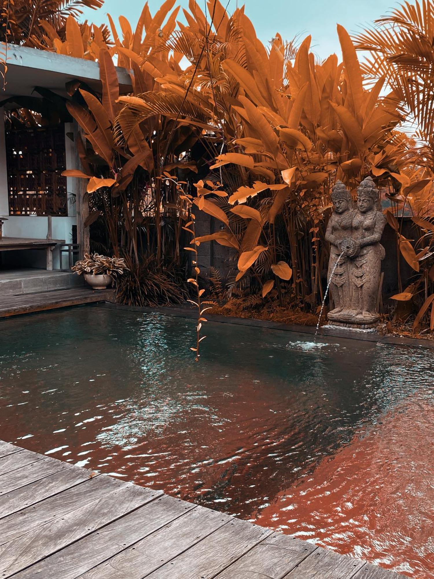 Alchemist House 烏布煉金師之屋 Ubud